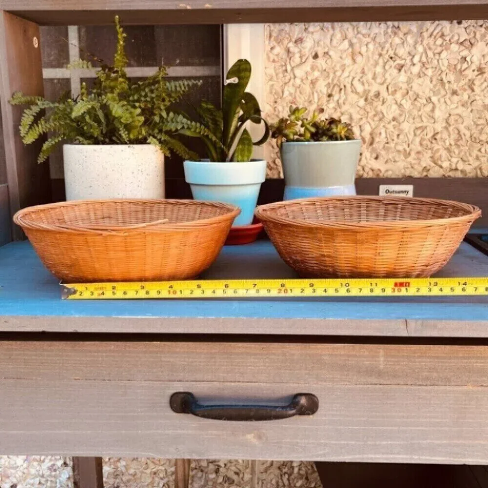 Woven Vintage Baskets Bowl Plants